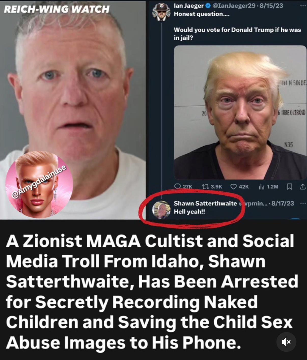 Shawn Satterthwaite, Zionist troll